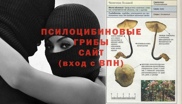 стафф Болхов