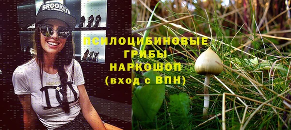 гашик Абдулино